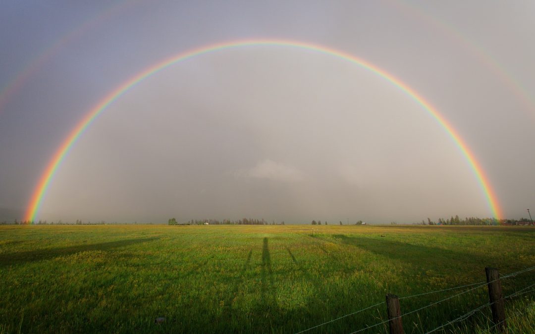 Telling Lenders a Good Farm Story Can Help Access Capital – By Blake Copley