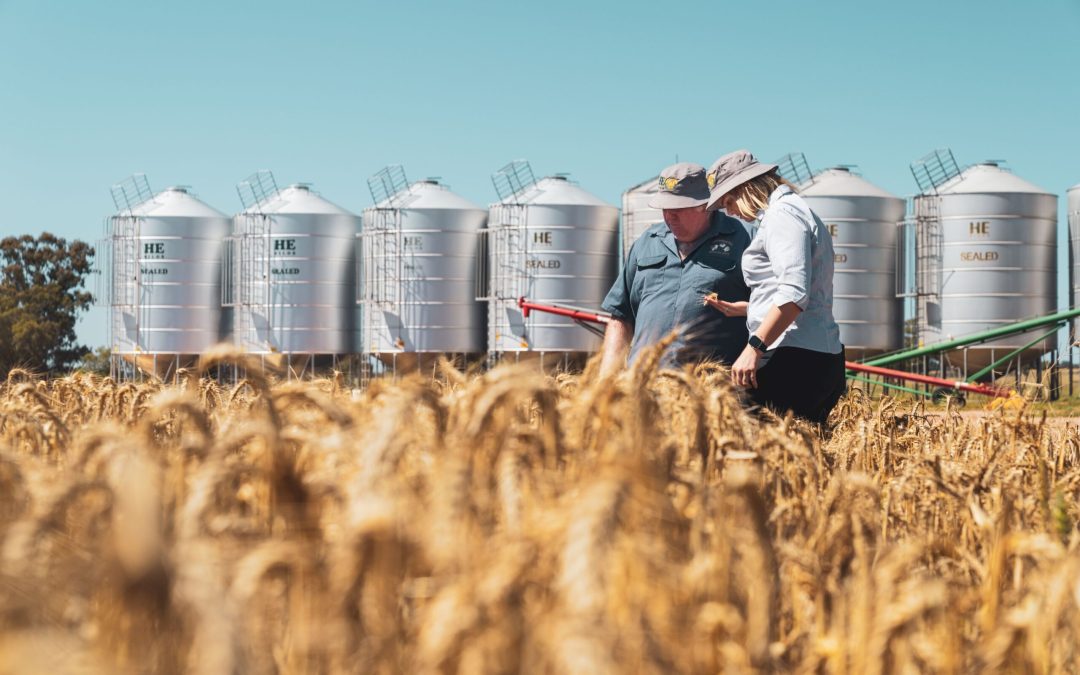 Why Understanding Inventory Adjustments is Crucial for Farmers – By Wade McLaughlin