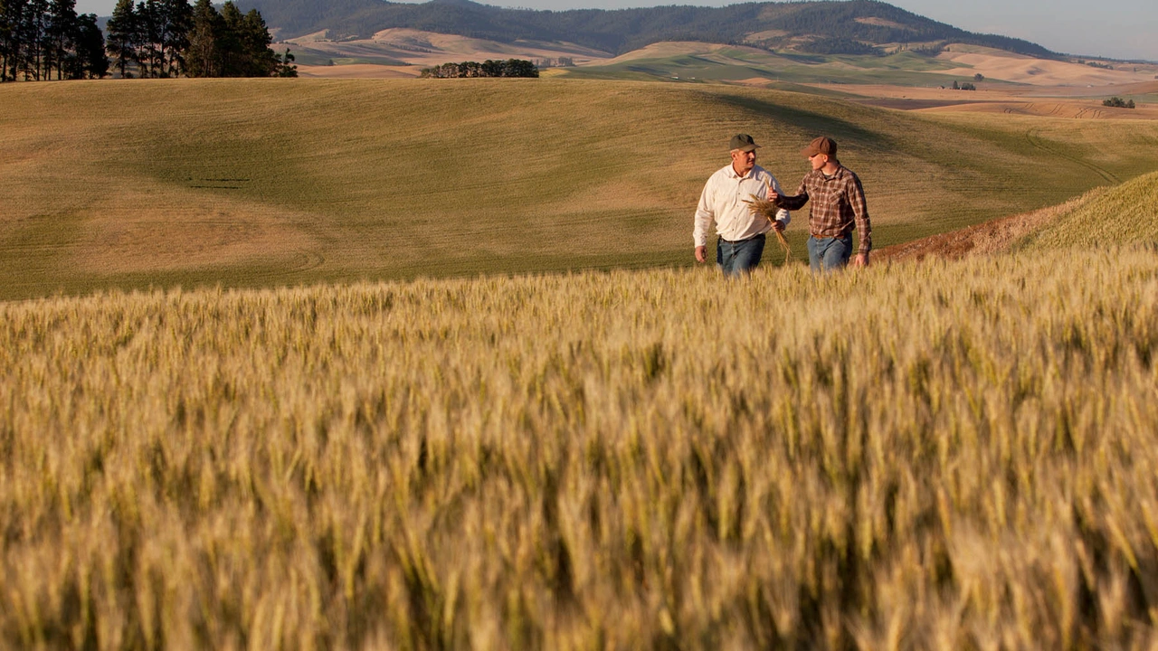 Farm Advisory Board